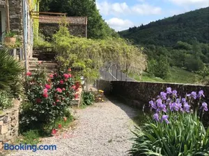 Image of Les jardins de lumière