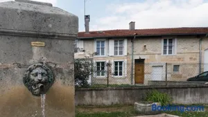 Image of Le chat Moustic
