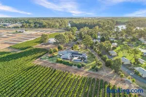 Image of Nepeta Cataria Estate - Echuca Holiday Homes