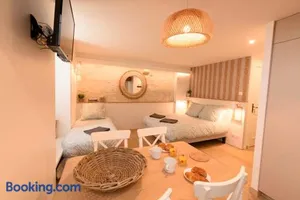 Image of La Lirosane, 3 studios, 3,7km du Zoo, Centre-ville