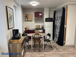 Image of Appartement plein centre