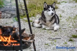 Image of Söhredomizil Kaufunger Wald - Terrasse - Grill - WLAN - Hund - Spielplatz