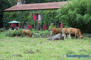 Image of Gite de la Roche 1 à 6 pers, proche Puydufou