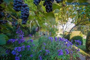 Image of Winemakers Escape