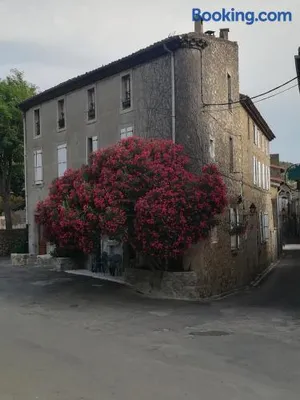 Image of Chez Shona