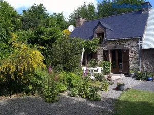 Image of The Cherries Houehdeu