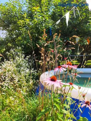 Image of Modernes Zimmer am Park mit Garten, Hühner & Enten