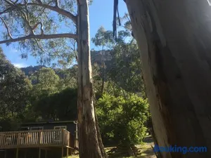 Image of Grampians Nest