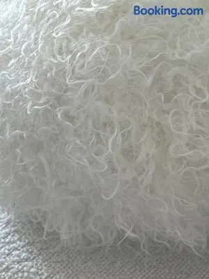 Image of Central Park 2