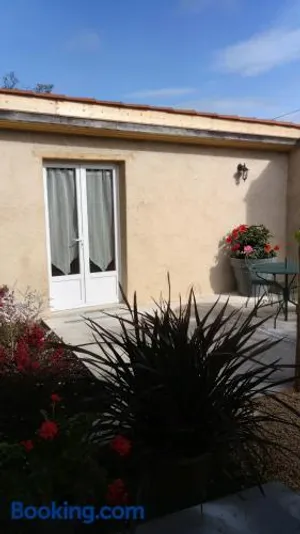 Image of l'orchidée