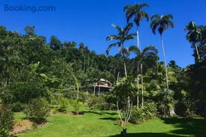 Image of A Daintree Garden