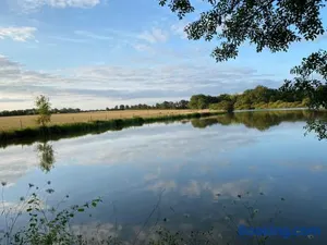 Image of Gîte Le Bois Clairet