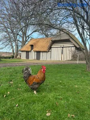 Image of Le Domaine Caribou