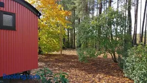 Image of Forest Heath Shepherd's Huts