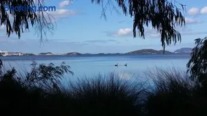 Image of Lilacs Waterfront Villas & Cottages