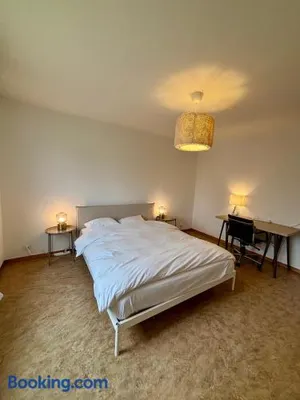 Image of Simple and Cozy Flat in Zurich