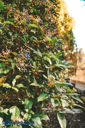 Image of Le Chai