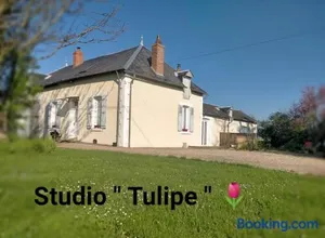 Image of studio ''tulipe'' dans le Berry