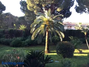 Image of Golfe Juan, quiet apartment with pool, near the beach