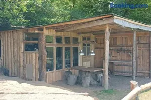 Image of Cabane aux papillons