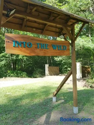 Image of INTO THE WILD - Nos 5 logements "Atypiques"