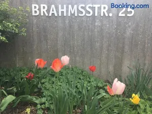 Image of Brahms 25