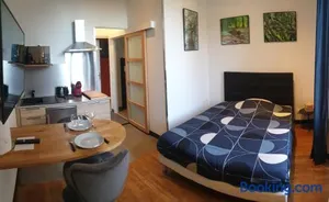 Image of Le studio du Parc au cœur de Chaumont