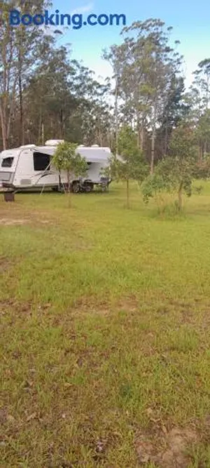 Image of Caravan Capers