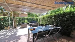 Image of Bleuets d'Azur