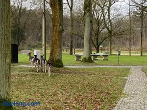 Image of Hengelhoef Ceder 106