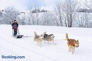 Image of Studio cosy au pied des pistes
