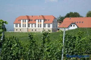 Image of Weingut Taggenbrunn