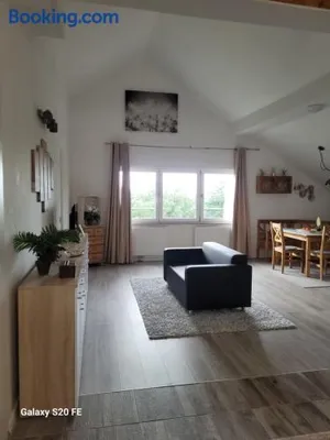 Image of Penthouse N74 Linz 120 QM KIDS WELCOME!