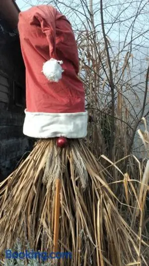 Image of Petite Noel