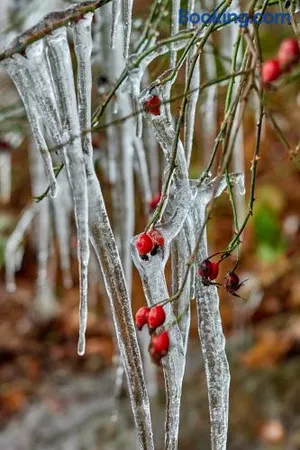 Image of Le Rocher Du Lac