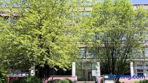 Image of Low Budget Hostel