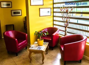 Image of Ayelen Express