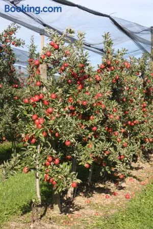 Image of Ferienwohnung Keller