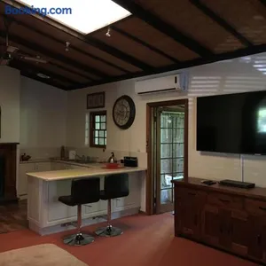 Image of Kentia Palms