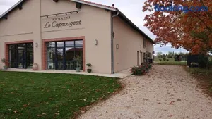 Image of Domaine le Caprougeat