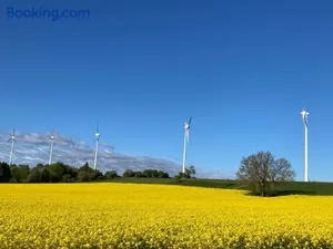 Image of Zur Streuobstwiese