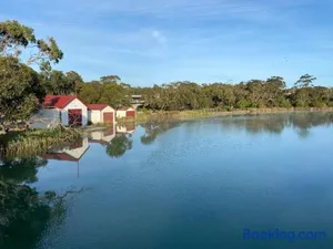 Image of Anglesea Rivergums