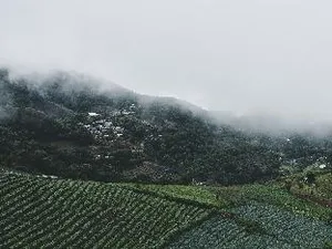 Image of Phudoi Homestay