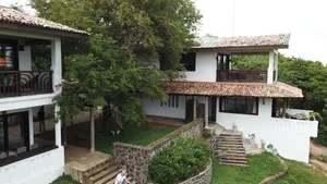 Image of Little Tamarind