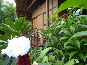 Image of Shibui Garden Bungalows and Restaurant