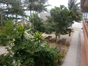 Image of Summer Connection