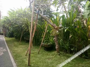 Image of The Village Guest House