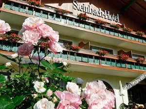 Image of Steinbach