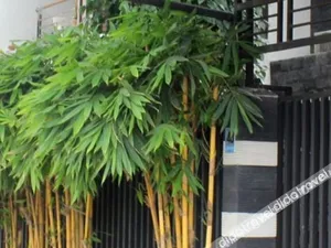 Image of Awangga Residence