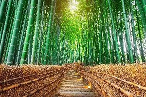 Image of Hotel Cuna Kyoto Love Hotel